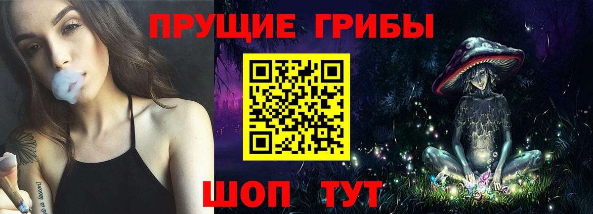 Нарткала  купить закладку  Псилоцибиновые грибы Psilocybe  Вход с VPN  Галлюциногенные грибы прущие грибы 